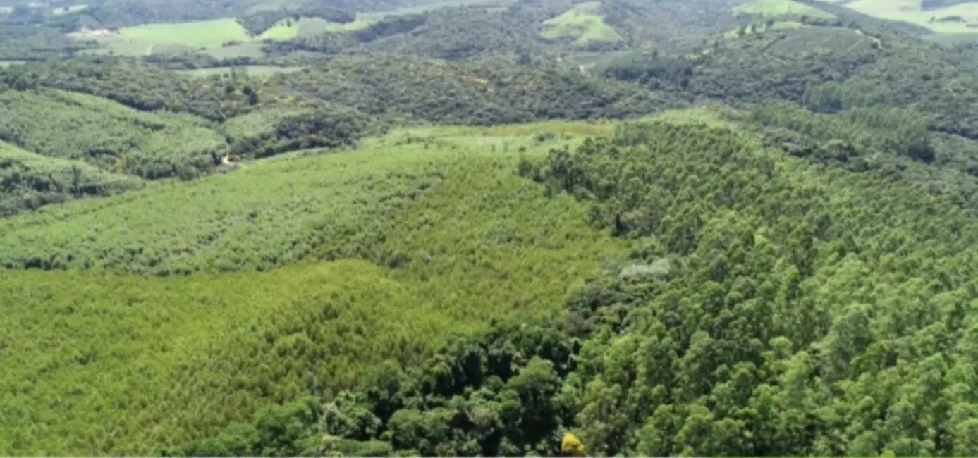 Foto 6 de Fazenda / Haras com 5 quartos à venda, 4300m2 em Ribeirao Branco - SP