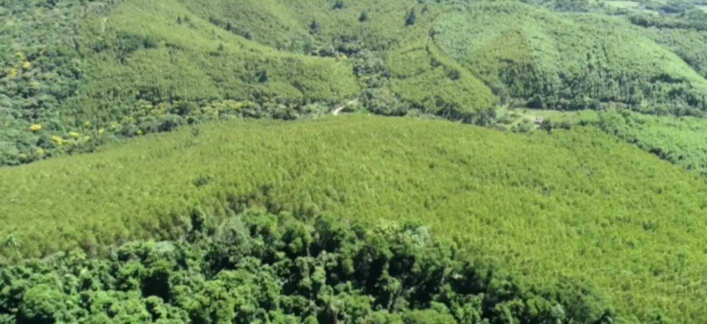 Foto 4 de Fazenda / Haras com 5 quartos à venda, 4300m2 em Ribeirao Branco - SP