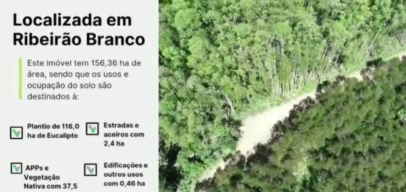 Foto 1 de Fazenda / Haras com 5 quartos à venda, 4300m2 em Ribeirao Branco - SP