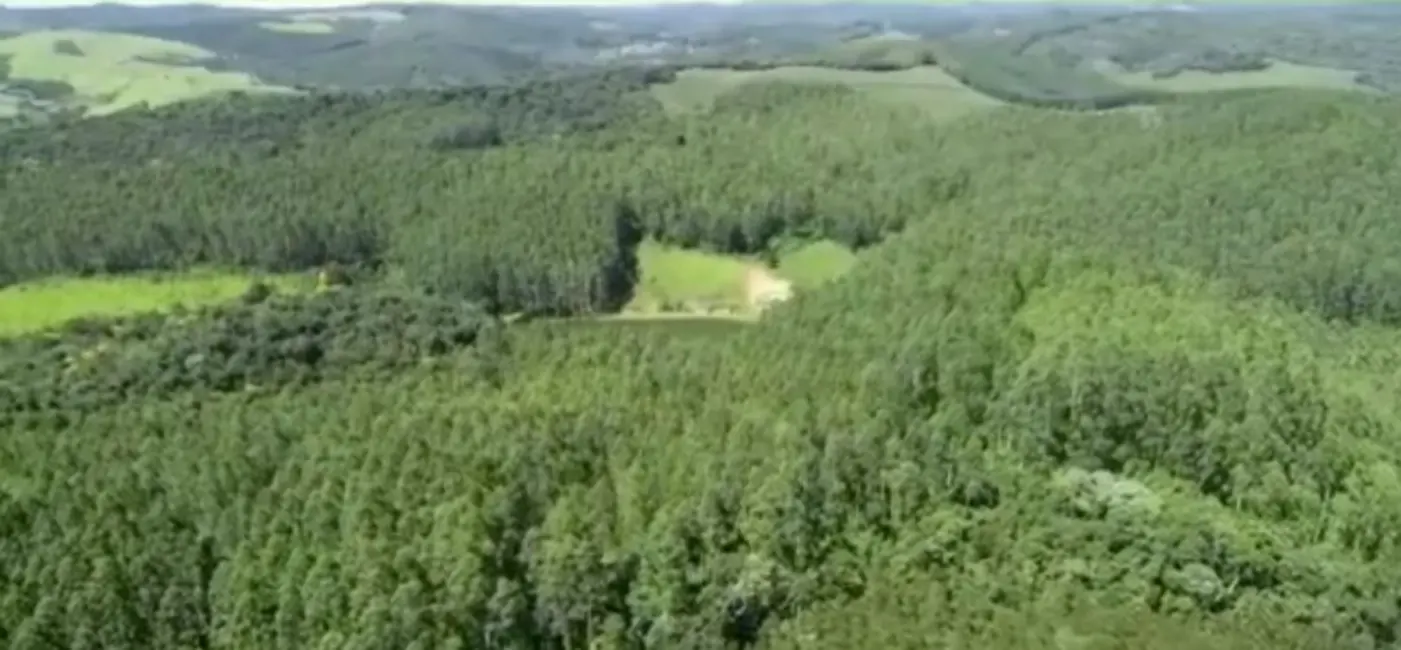 Foto 7 de Fazenda / Haras com 5 quartos à venda, 4300m2 em Ribeirao Branco - SP