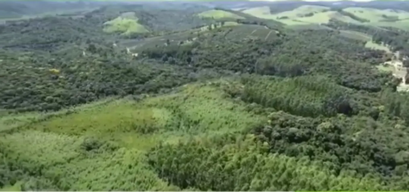 Foto 9 de Fazenda / Haras com 5 quartos à venda, 4300m2 em Ribeirao Branco - SP