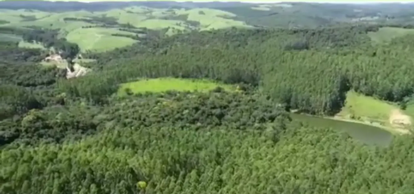 Foto 8 de Fazenda / Haras com 5 quartos à venda, 4300m2 em Ribeirao Branco - SP