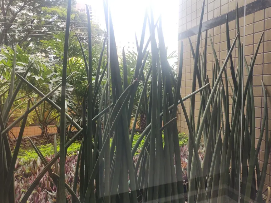 Foto 7 de Apartamento com 3 quartos para alugar, 163m2 em Piracicaba - SP