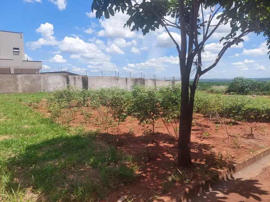 Foto 2 de Terreno / Lote à venda, 250m2 em Piracicaba - SP