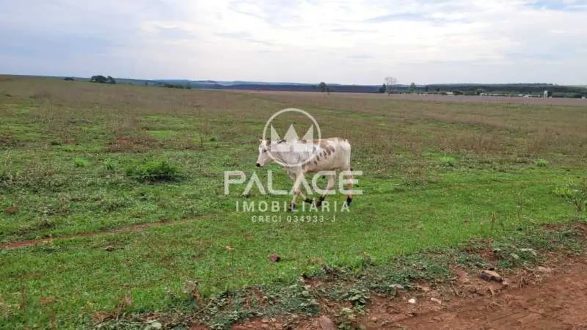 Foto 8 de Fazenda / Haras com 6 quartos à venda, 1000m2 em Dourado - SP