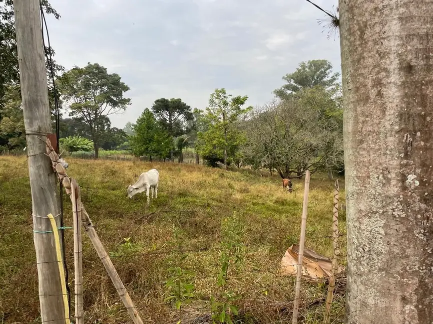 Foto 5 de Chácara com 2 quartos à venda, 500m2 em Piracicaba - SP
