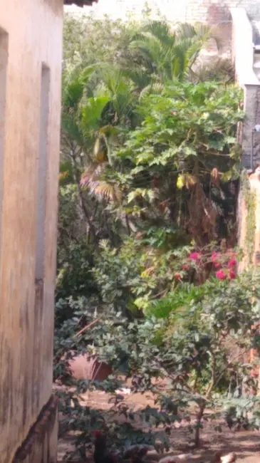 Foto 8 de Loja à venda, 201m2 em Piracicaba - SP