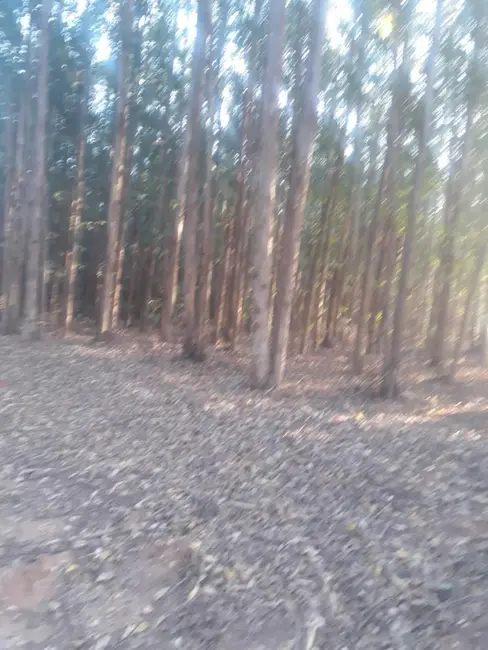 Foto 3 de Terreno / Lote à venda, 18000m2 em Sao Pedro - SP