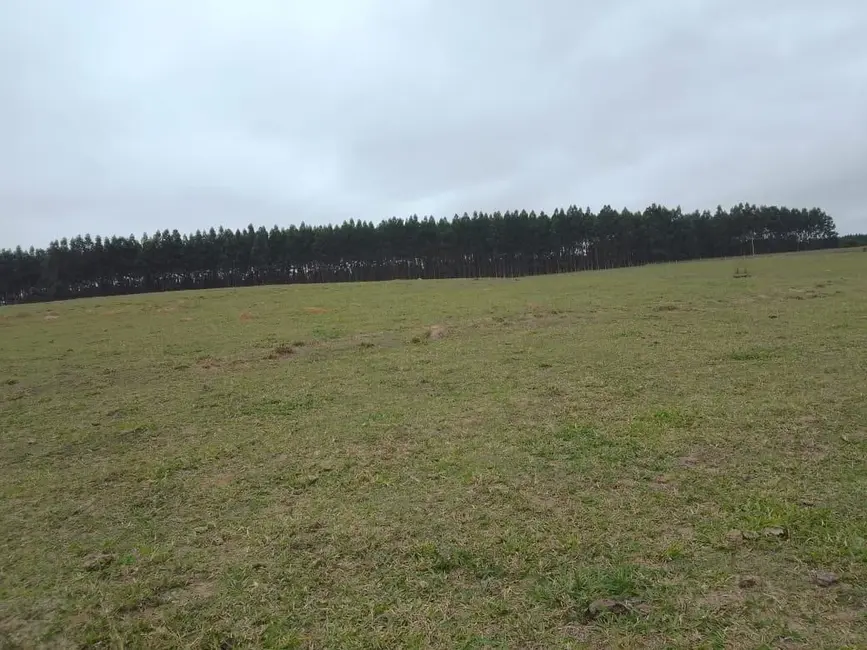 Foto 9 de Sítio / Rancho à venda em Piracicaba - SP