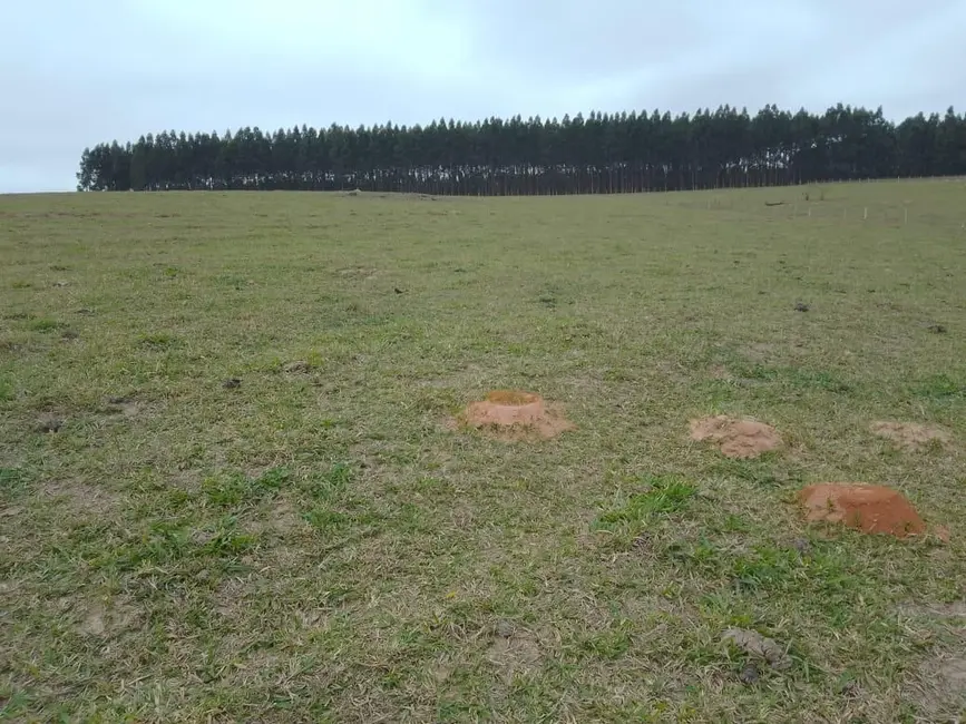 Foto 7 de Sítio / Rancho à venda em Piracicaba - SP