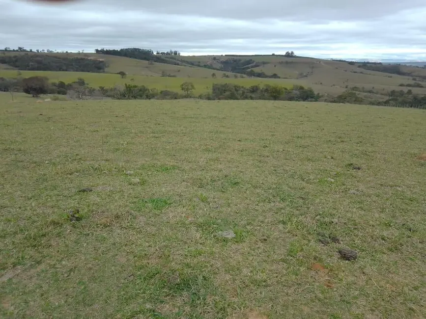 Foto 13 de Sítio / Rancho à venda em Piracicaba - SP