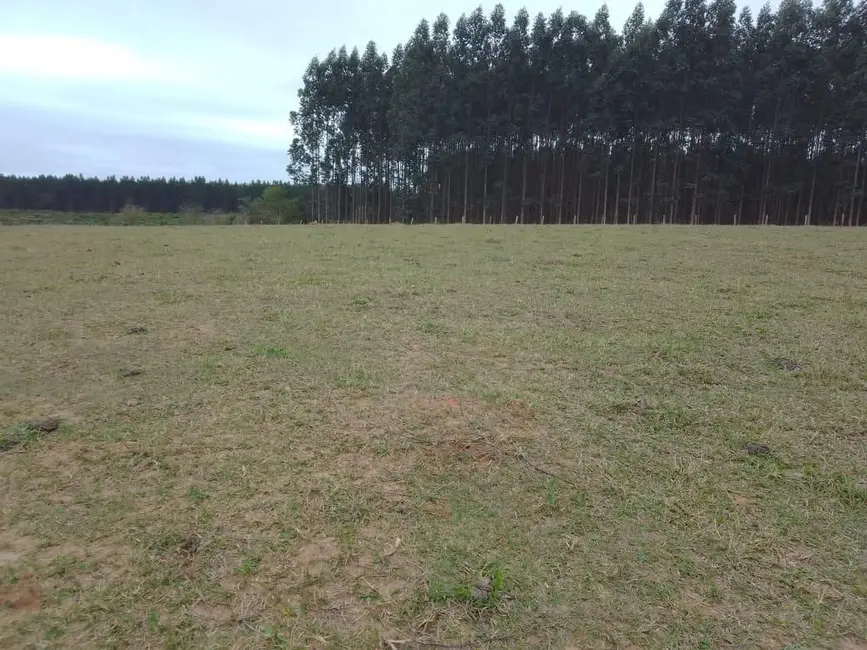 Foto 12 de Sítio / Rancho à venda em Piracicaba - SP