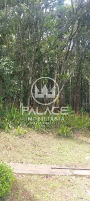 Chácara à venda, 200m2 em Itapeva - MG - imagem 25 Foto 25 de Chácara à venda, 200m2 em Itapeva - MG