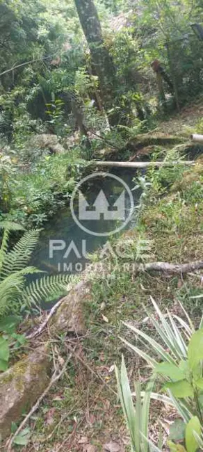 Chácara à venda, 200m2 em Itapeva - MG - imagem 28 Foto 28 de Chácara à venda, 200m2 em Itapeva - MG