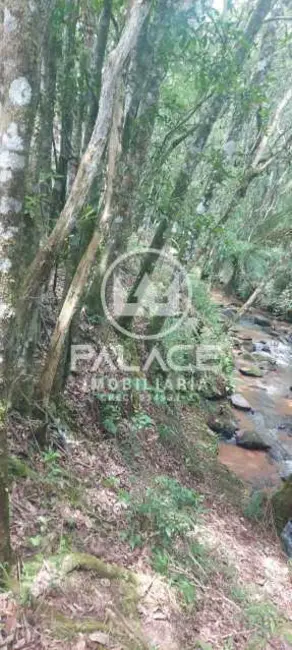 Chácara à venda, 200m2 em Itapeva - MG - imagem 26 Foto 26 de Chácara à venda, 200m2 em Itapeva - MG