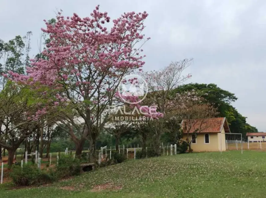 Foto 4 de Fazenda / Haras com 4 quartos à venda, 919600m2 em Avare - SP