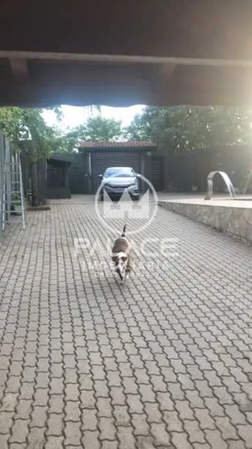 Foto 9 de Chácara com 3 quartos à venda, 250m2 em Piracicaba - SP