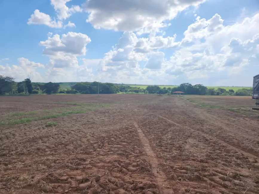 Foto 2 de Fazenda / Haras com 6 quartos à venda, 1500m2 em Birigui - SP
