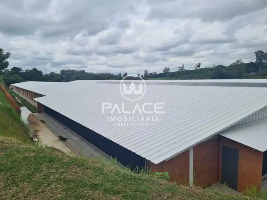 Foto 4 de Fazenda / Haras à venda, 12000m2 em Conchas - SP