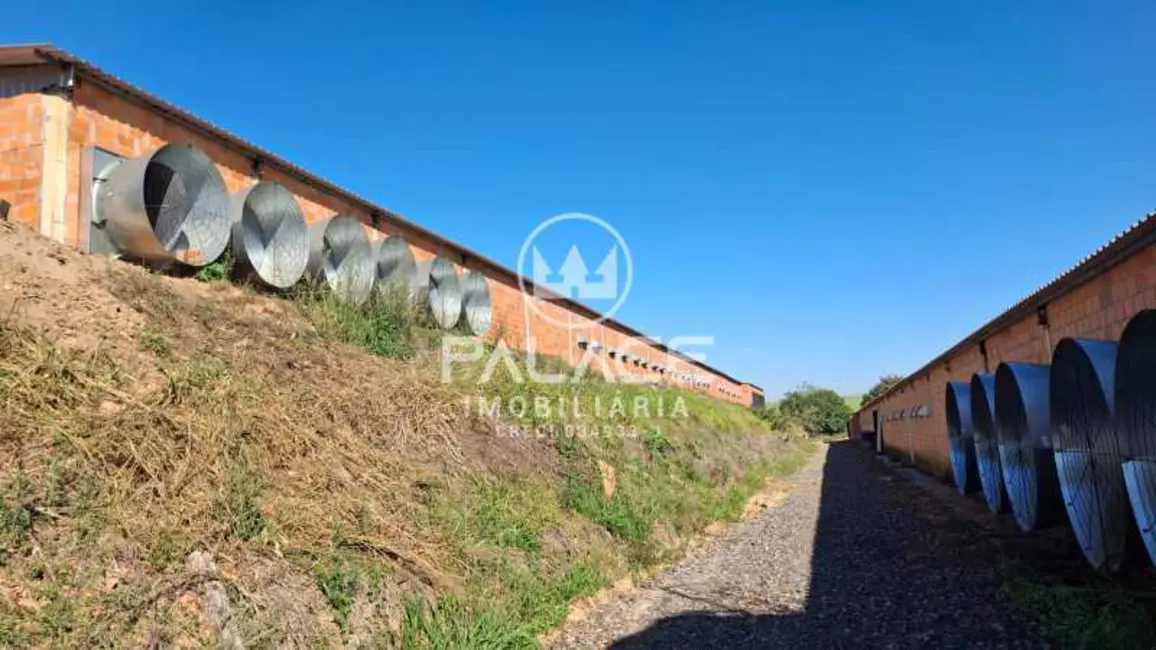 Foto 8 de Fazenda / Haras com 4 quartos à venda, 54000m2 em Tiete - SP