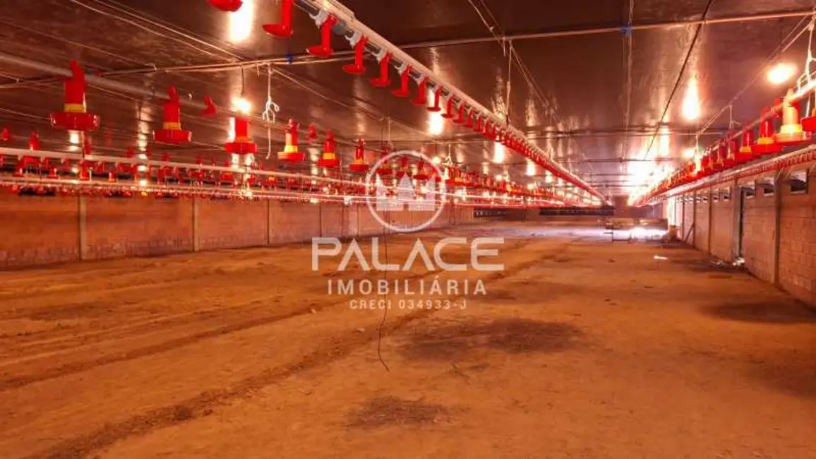 Foto 4 de Fazenda / Haras com 4 quartos à venda, 54000m2 em Tiete - SP