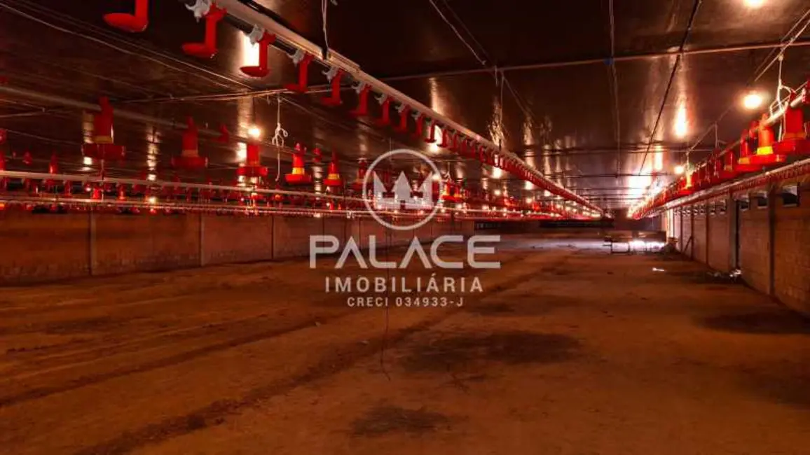 Foto 5 de Fazenda / Haras com 4 quartos à venda, 54000m2 em Tiete - SP