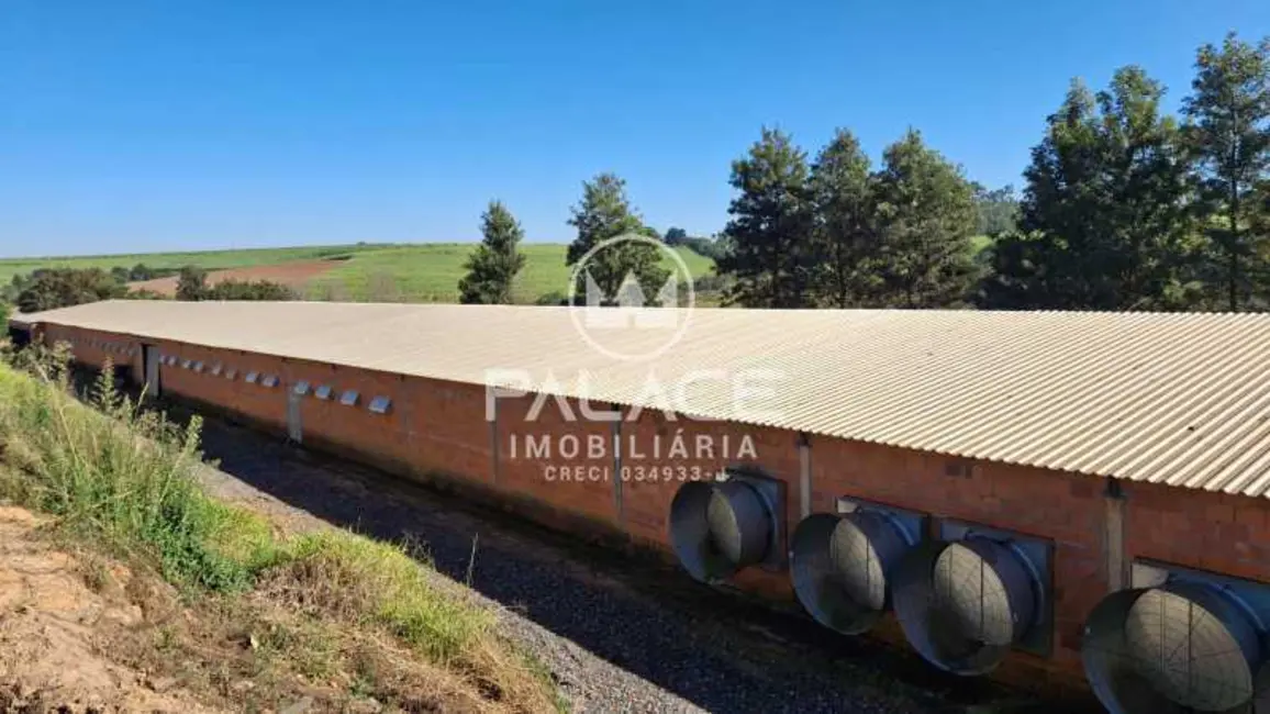 Foto 6 de Fazenda / Haras com 4 quartos à venda, 54000m2 em Tiete - SP