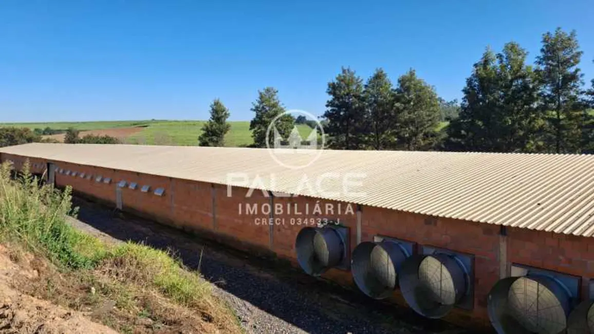 Foto 9 de Fazenda / Haras com 4 quartos à venda, 54000m2 em Tiete - SP