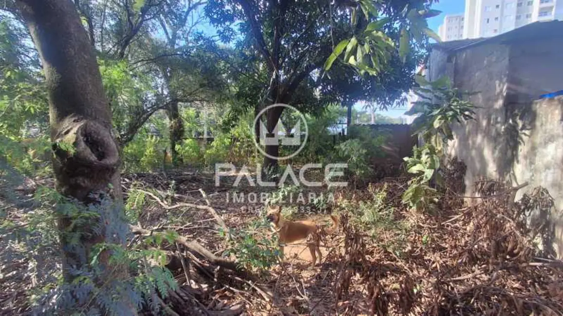 Foto 8 de Terreno / Lote à venda, 3693m2 em Piracicaba - SP