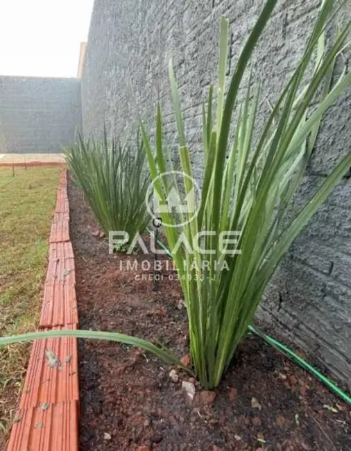 Casa com 2 quartos à venda, 42m2 em Piracicaba - SP - imagem 6 Foto 6 de Casa com 2 quartos à venda, 42m2 em Piracicaba - SP