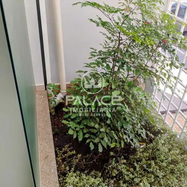 Foto 3 de Loja para alugar, 52m2 em Piracicaba - SP