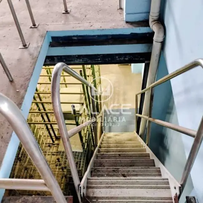 Foto 8 de Loja para alugar, 240m2 em Piracicaba - SP