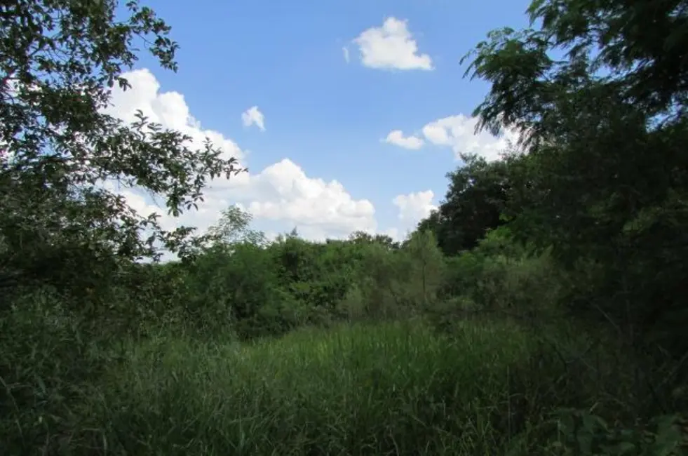 Foto 4 de Terreno / Lote à venda, 2000m2 em Piracicaba - SP