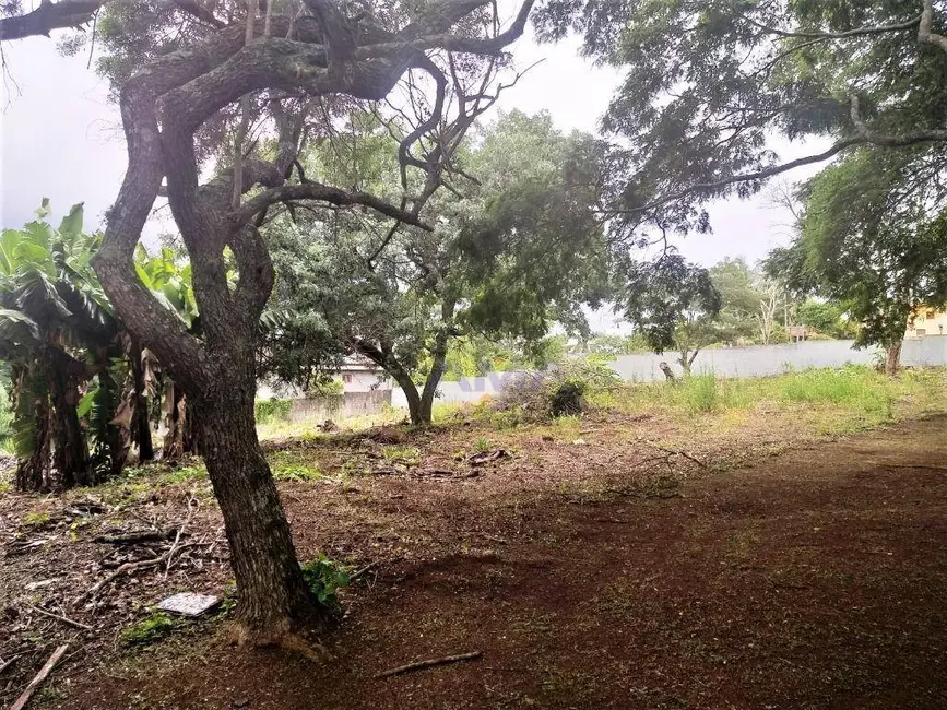 Foto 4 de Terreno / Lote à venda, 2372m2 em Parque Dom Henrique, Cotia - SP