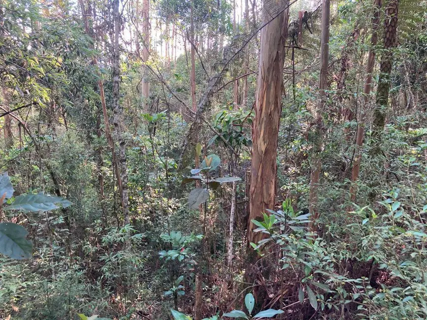 Foto 4 de Sala Comercial à venda, 6130m2 em Jardim Atalaia, Cotia - SP