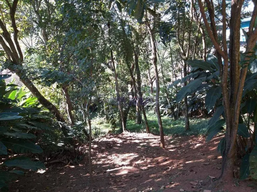 Foto 5 de Casa de Condomínio com 4 quartos à venda, 1330m2 em Parque Dom Henrique, Cotia - SP