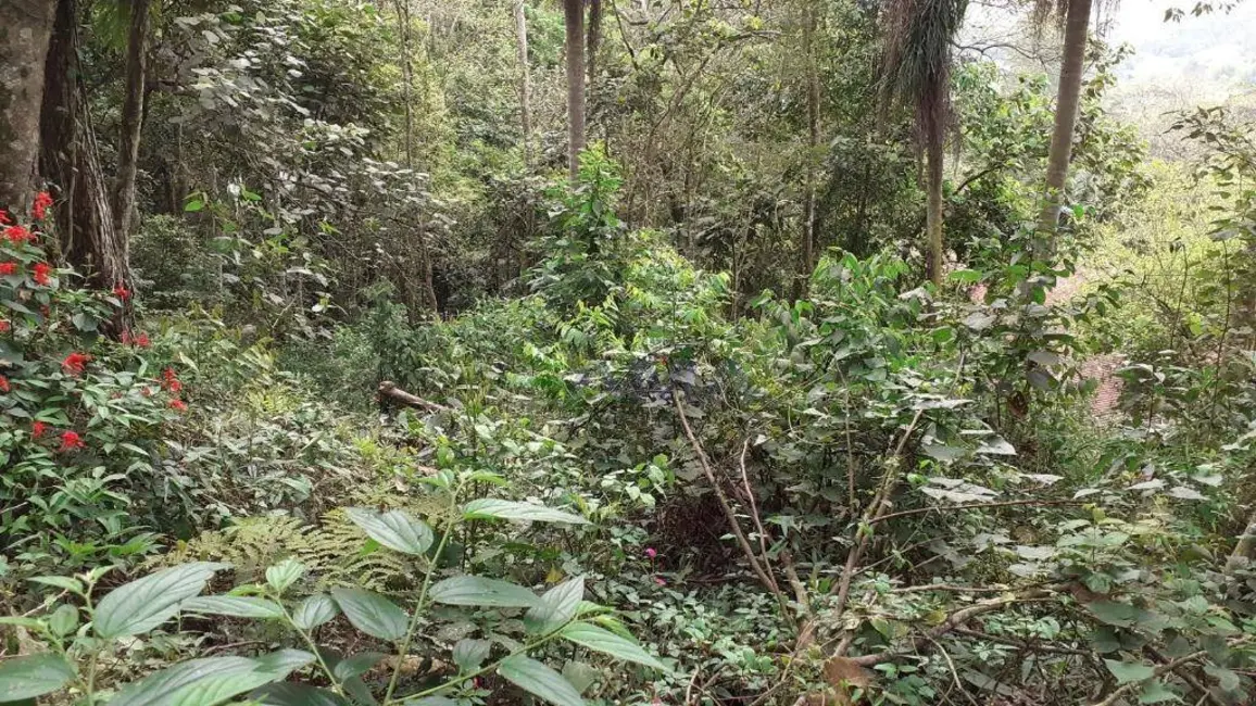 Foto 3 de Terreno / Lote à venda, 2053m2 em Chácara Represinha, Cotia - SP