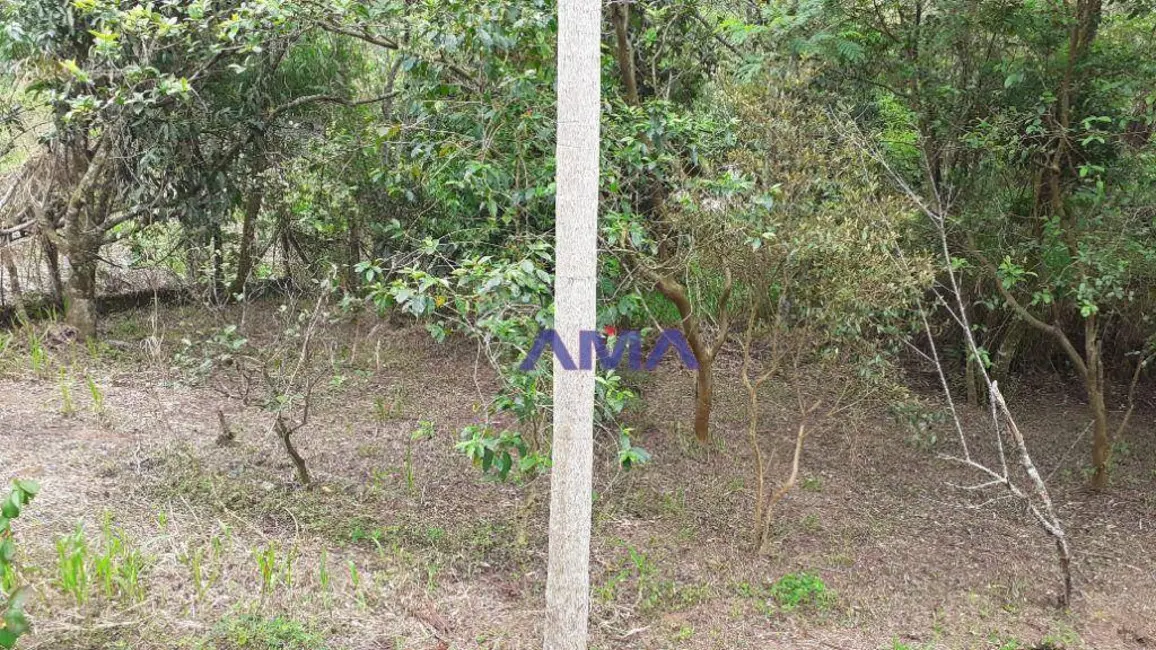 Foto 5 de Sala Comercial à venda, 2500m2 em Parque Rincão, Cotia - SP