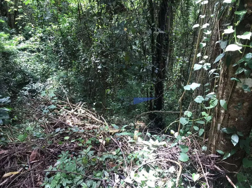 Foto 6 de Terreno / Lote à venda, 502m2 em Granja Carneiro Viana, Cotia - SP