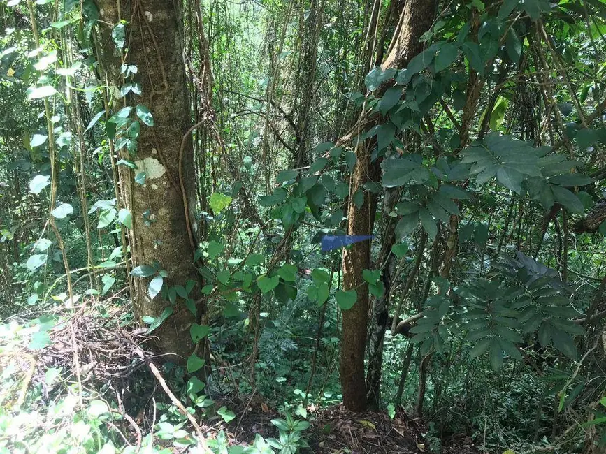 Foto 5 de Terreno / Lote à venda, 502m2 em Granja Carneiro Viana, Cotia - SP