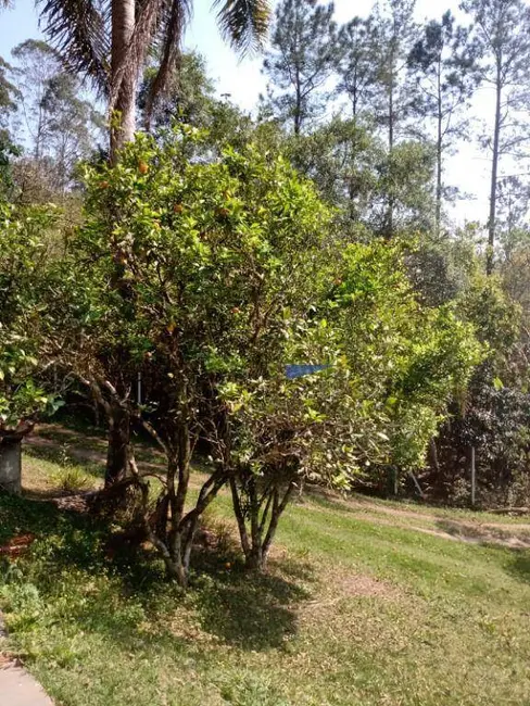Foto 5 de Sítio / Rancho com 3 quartos à venda, 13000m2 em Itapevi - SP