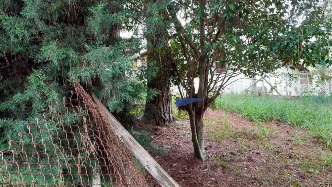 Foto 7 de Sítio / Rancho com 3 quartos à venda, 13000m2 em Itapevi - SP