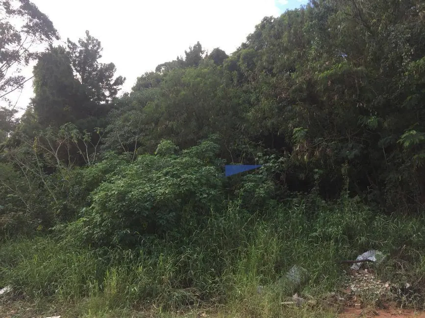 Foto 2 de Terreno / Lote à venda, 5000m2 em Jardim do Rio Cotia, Cotia - SP