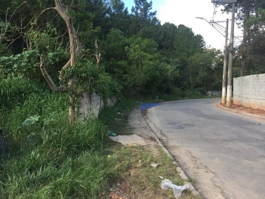 Foto 6 de Terreno / Lote à venda, 5000m2 em Jardim do Rio Cotia, Cotia - SP