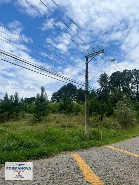 Foto 5 de Sala Comercial à venda, 4973m2 em Paisagem Renoir, Cotia - SP