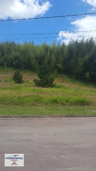 Terreno / Lote à venda, 394m2 em Cotia - SP - imagem 5 Foto 5 de Terreno / Lote à venda, 394m2 em Cotia - SP