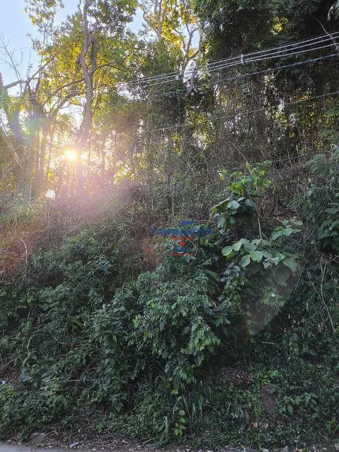 Foto 7 de Sala Comercial à venda, 6475m2 em Parque Rincão, Cotia - SP