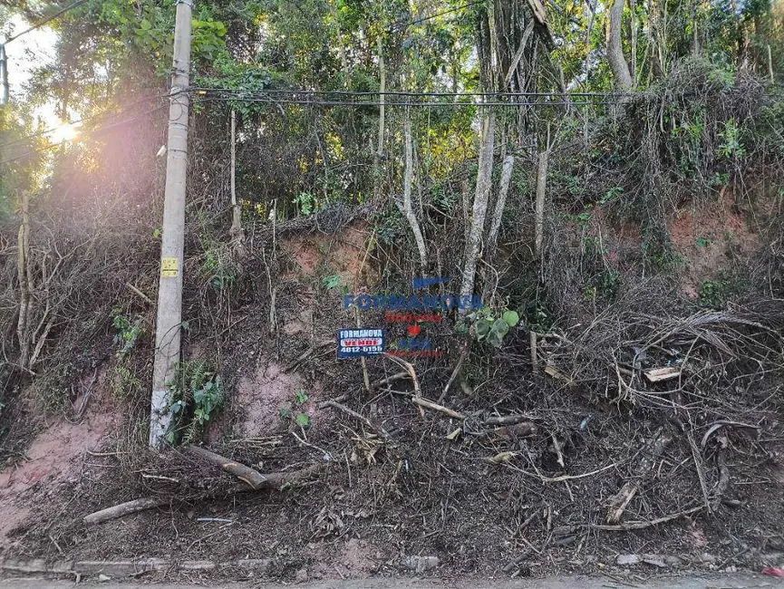 Foto 3 de Sala Comercial à venda, 6475m2 em Parque Rincão, Cotia - SP