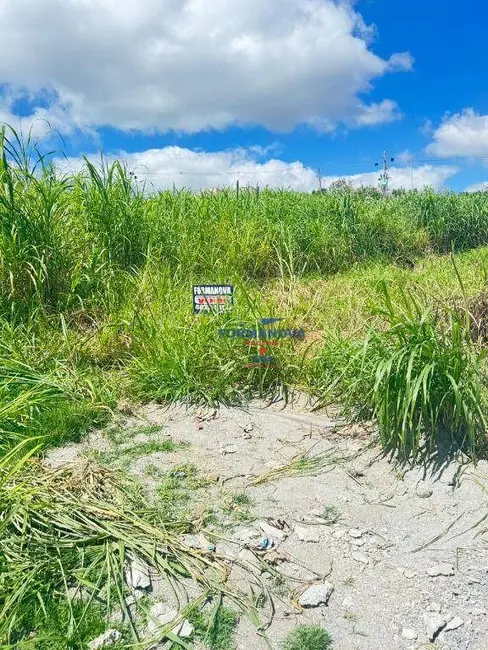 Foto 8 de Terreno / Lote à venda, 125m2 em Parque Alexandre, Cotia - SP