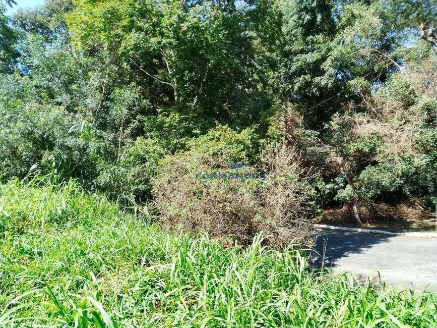 Foto 4 de Terreno / Lote à venda, 575m2 em São Paulo II, Cotia - SP